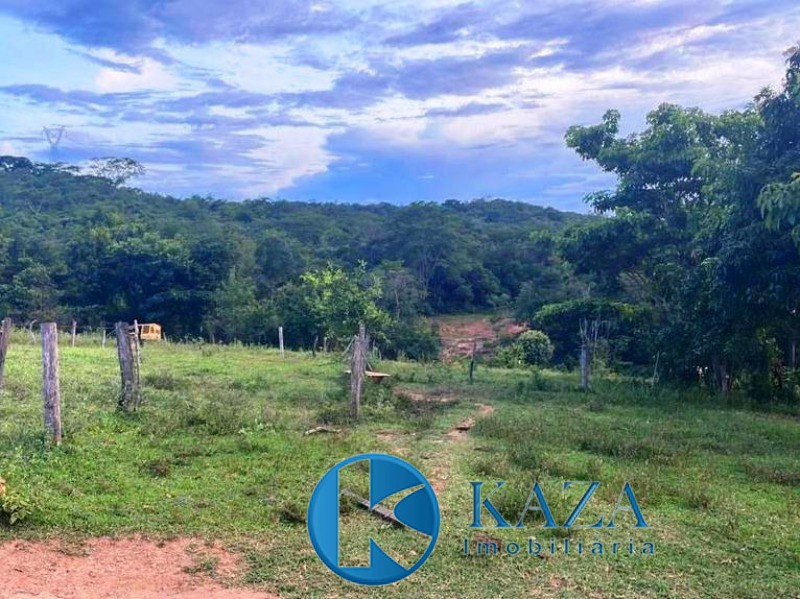 Fazenda, 97 hectares - Foto 12