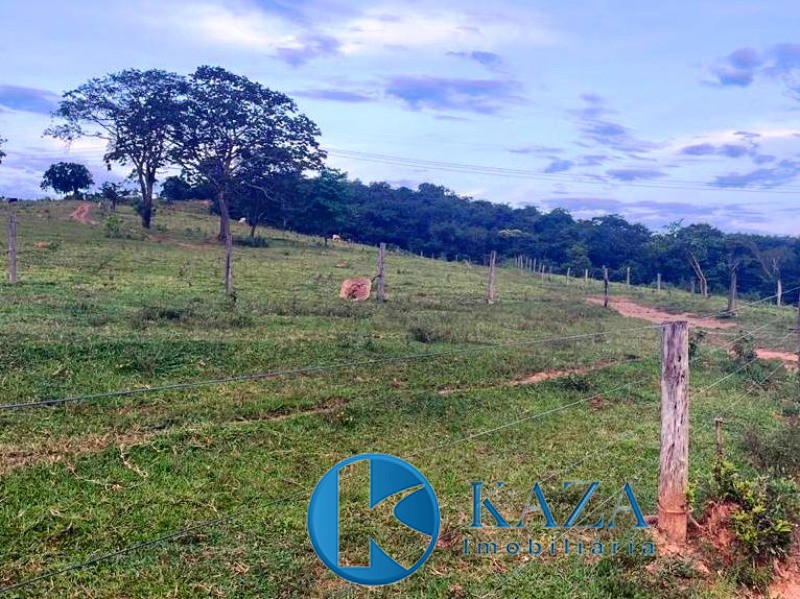 Fazenda, 97 hectares - Foto 10