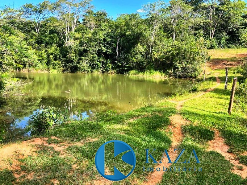 Fazenda, 97 hectares - Foto 4