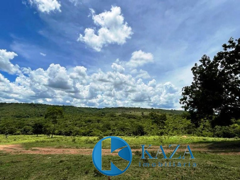 Fazenda, 97 hectares - Foto 8
