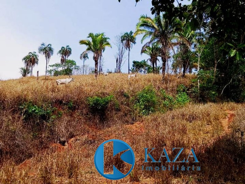 Fazenda, 87 hectares - Foto 1