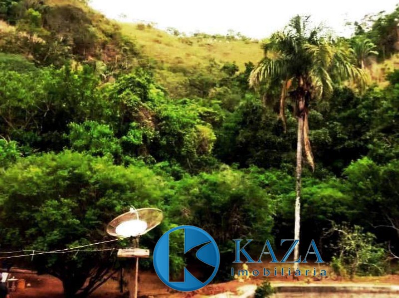 Fazenda, 87 hectares - Foto 7