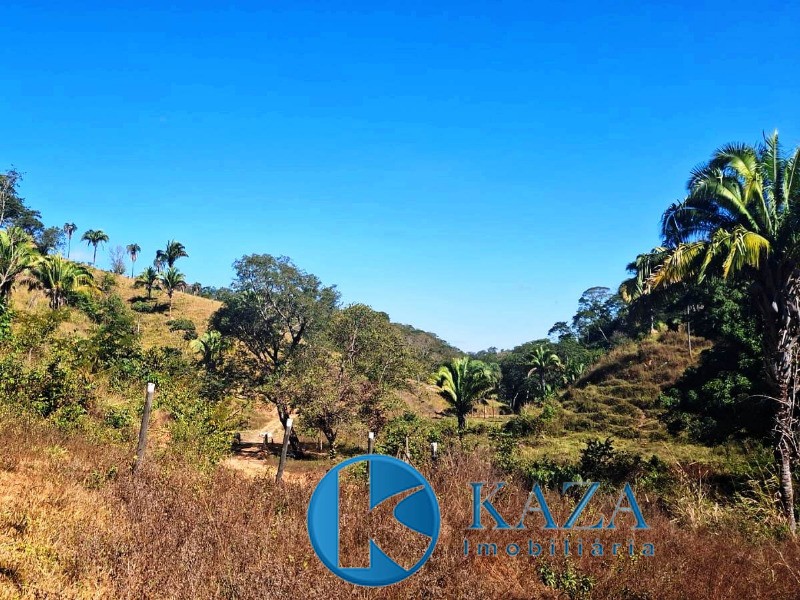 Fazenda, 87 hectares - Foto 3