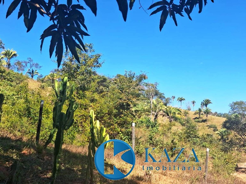 Fazenda, 87 hectares - Foto 4