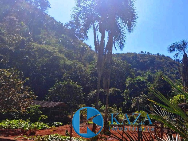 Fazenda, 87 hectares - Foto 9