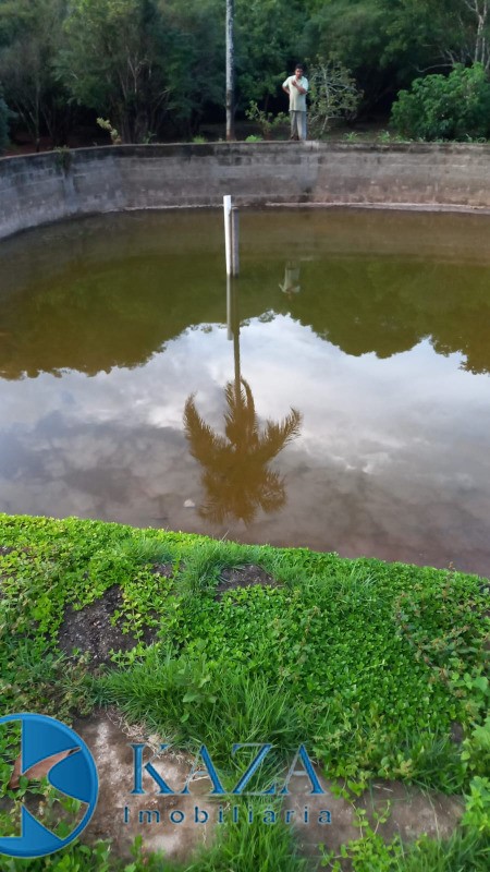 Fazenda, 87 hectares - Foto 10