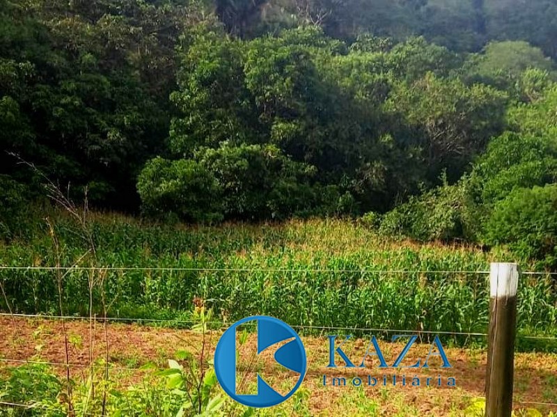 Fazenda, 87 hectares - Foto 5
