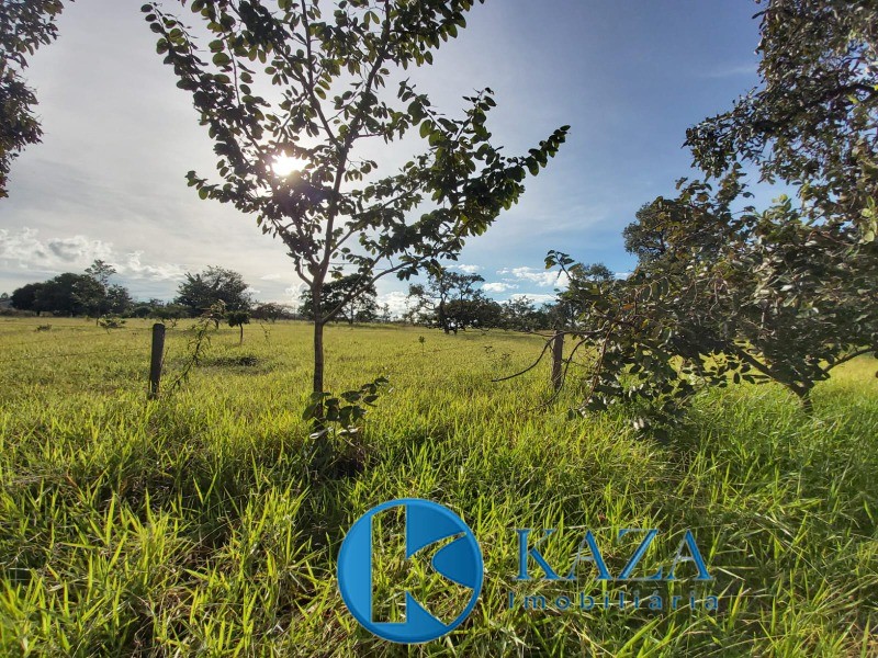 Chácara, 2 hectares - Foto 4