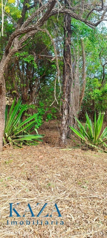 Chácara - Foto 6