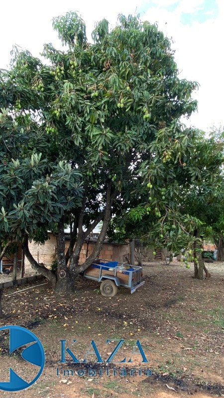 Chácara, 3 quartos, 4800 m² - Foto 29