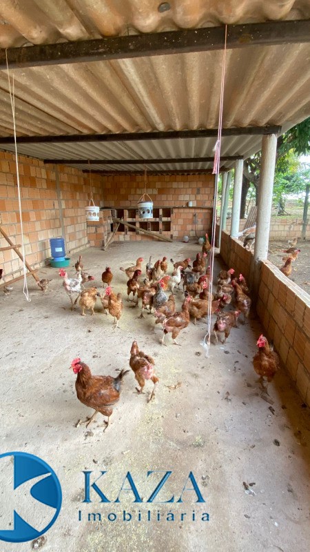 Chácara, 3 quartos, 4800 m² - Foto 23