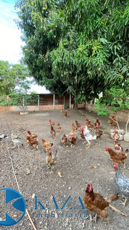 Chácara, 3 quartos, 4800 m² - Foto 28
