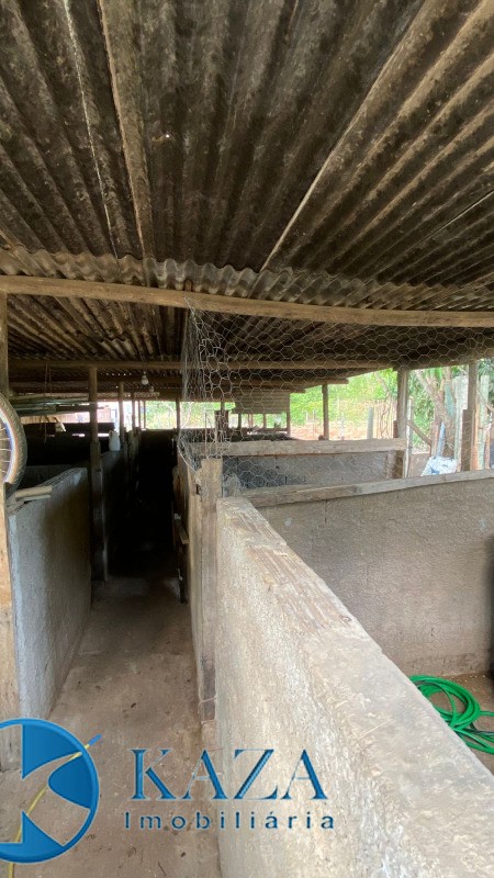 Chácara, 3 quartos, 4800 m² - Foto 22