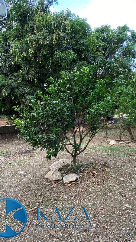 Chácara, 3 quartos, 4800 m² - Foto 27